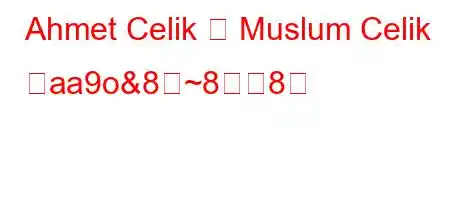 Ahmet Celik と Muslum Celik どaa9o&8~88